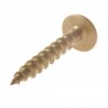 Wkręt montażowy do drewna 4,5x25mm 250 szt